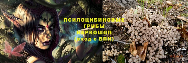 индика Алзамай