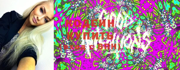 индика Алзамай