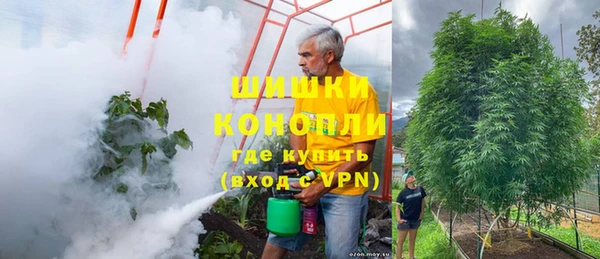 дурь Алексеевка