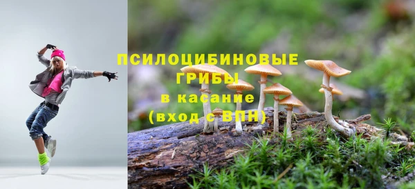 индика Алзамай