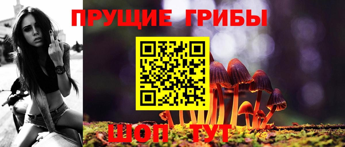 Апшеронск  Псилоцибиновые грибы Magic Shrooms  Вход с VPN  Галлюциногенные грибы Cubensis 